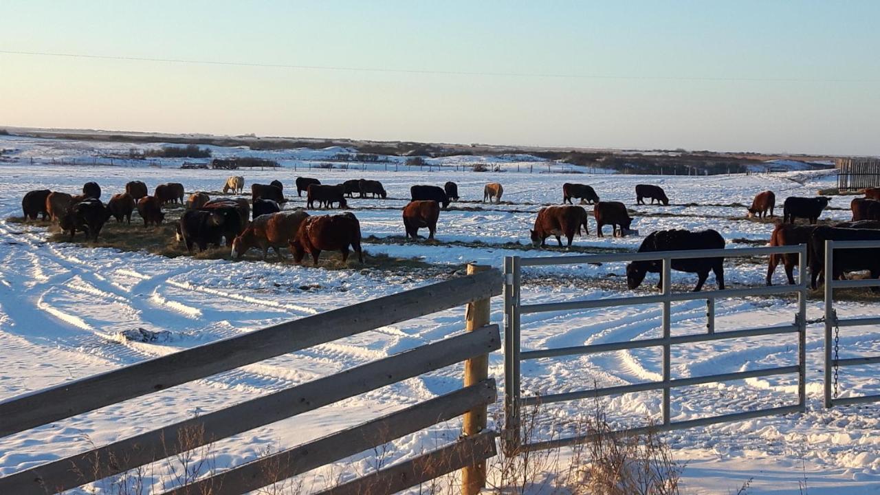 Anna'S Prairie Comfort B & B Moose Jaw Exterior foto